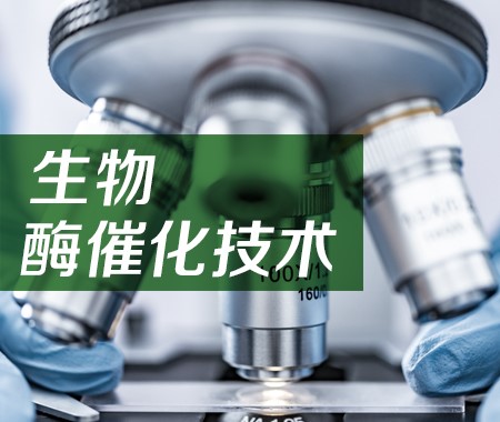 生物酶催化技术2 拷贝.jpg